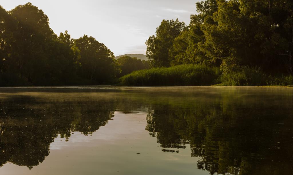 Bonnievale River Lodge Ngoại thất bức ảnh